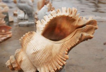 貝殼雕塑，玻璃鋼貝殼雕塑，海洋生物雕塑擺件 (3)
