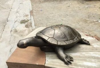 城市烏龜?shù)袼?風(fēng)景區(qū)彩繪雕塑 抽象擺件