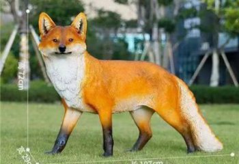 仿真狐貍雕塑 酒店公園雕塑 風(fēng)景區(qū)擺件