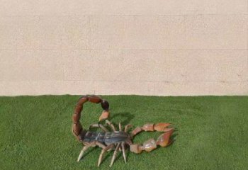 商業街蝎子雕塑 售樓處動物雕塑 仿真擺件