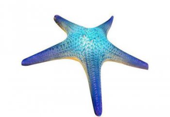 小區海星雕塑，拉絲海洋雕塑，抽象效果