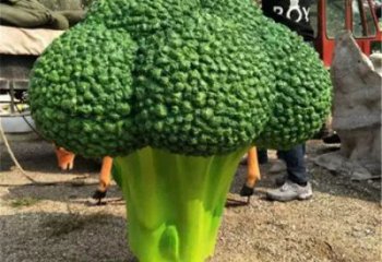 商業(yè)街菜花雕塑 售樓處雕塑 蔬菜擺件
