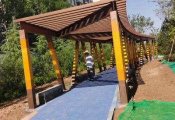 長廊類不銹鋼結(jié)構(gòu)廊架雕塑