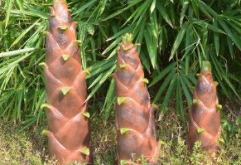 竹筍雕塑預定，創意雕塑，不銹鋼竹筍雕塑選用