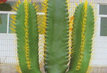 石家莊庭院仙人掌雕塑